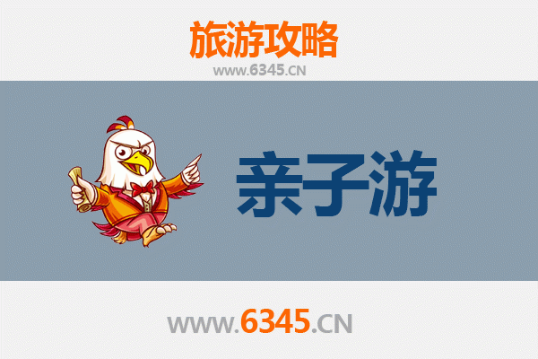海南定安国营南海农场亲子游全攻略：自然体验与热带田园乐趣