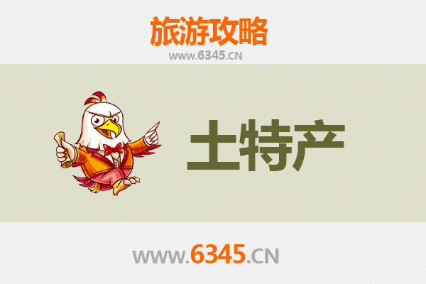 定安新竹镇旅游必带土特产推荐 | 资深博主精选指南